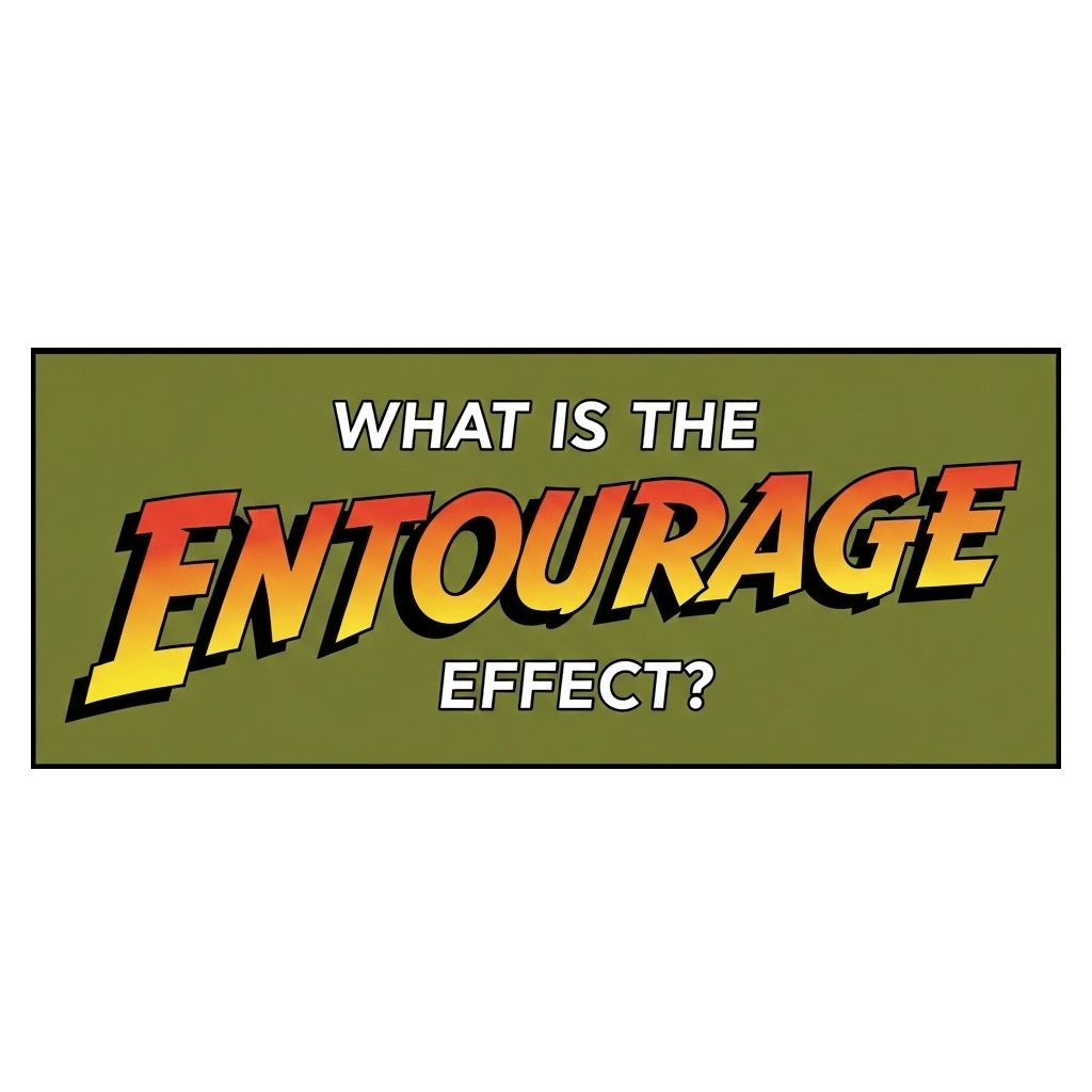 What is the ENTOURAGE Effect? graphic highlighting the synergy of cannabinoids, relevant to American Hemp Hub's premium hemp products.