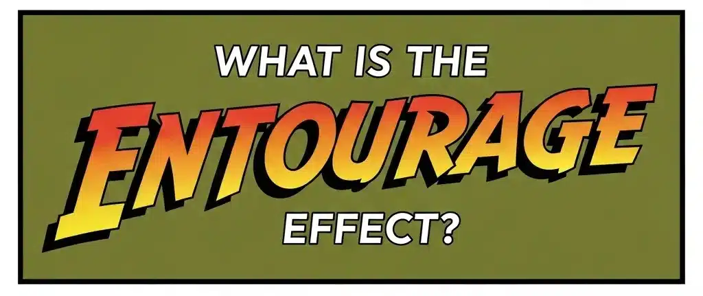 What is the Entourage Effect? bold text graphic emphasizing the synergy of cannabinoids, terpenes, and flavonoids in hemp products.